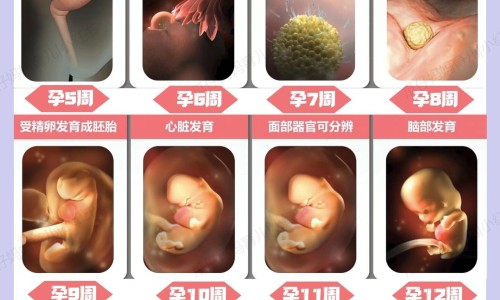 月子期间哺乳妈妈可以喝板蓝根吗孕妇-月子期间哺乳妈妈可以喝板蓝根吗网 | 产妇月子里能不能喝板蓝根,哺乳妈妈可以喝板蓝根冲剂吗